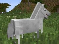 我的世界怎么装马鞍 骑马必备技巧