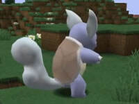 翔麟解说：1.8神奇宝贝Ep4 转化器