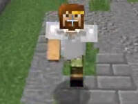 籽岷的1.8双人PVP游戏：饥饿游戏14