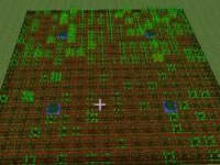 不愁吃 我的世界农作物种子获取方法