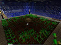 我的世界耕地与播种特性详细