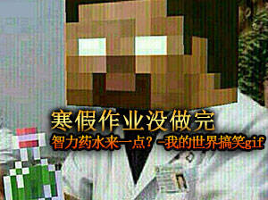 寒假作业没做完？我的世界搞笑GIF图集