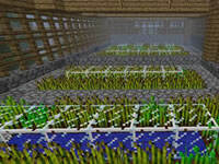 作物生长！我的世界农作物如何加快生长