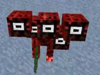 扁桃寻龙诀冒险EP24下：神圣的延晶之主