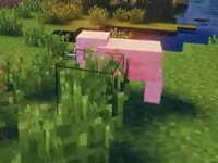 我的世界籽岷虚无世界2模组生存第十一集