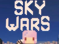 独担英雄！我的世界空岛战争地图