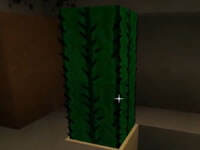 地底火车交通系统！扁桃红石教学