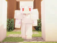 一个冰坨坨！海贼王多模组生存Ep5