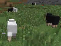 疯狂挖矿进入无昼之森！暮色森林极限生存第一集