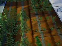 成为魔法少女！妹子庄园多模组生存记2