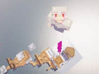 东西不能乱吃！海贼王多模组生存Ep7