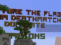 籽岷的1.8双人PVP游戏：饥饿游戏20