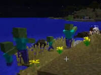 寻找末地！大橙子1.9方块学园P6