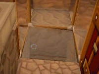 开始分工 亚特兰蒂斯多人生存Ep2