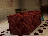 地图结束 体验我的世界丧魂村完结