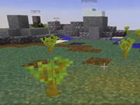 唤醒保育的共识 动物保卫者Ep1