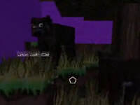 勇闯四家无压力！寻找光明解密地图