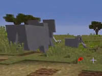 大象入侵 动物保卫者Ep3