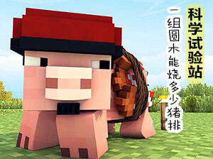 科学试验站 一组原木到底能烧多少猪排