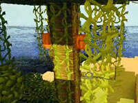 丛林探索 红叔勇者极限生存第十三天