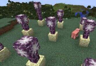 冷知识 我的世界紫影花你不知道的五件事