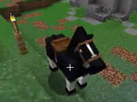 红小队CTM生存体验第二季第八期