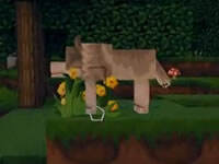 地图的探索 红叔勇者极限生存第二十一天