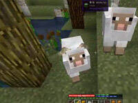 我的世界红小队重回群峦冒险第十六集