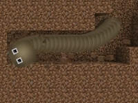 籽岷的1.10趣味新特性 超级破坏虫