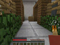 籽岷1.10双人欢乐小游戏 谁是你爸爸