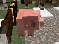 红小队重回群峦冒险第三十集