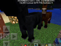 我的世界0.15新增活塞 红石大神为之疯狂