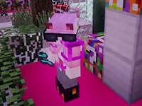 籽岷游戏：天天向上幸运方块大冒险8下