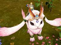 龙戒深受女生群体欢迎的银狐兔