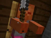 我的世界红小队六周目生存第一集