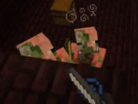 我的世界红小队六周目生存第五集下篇