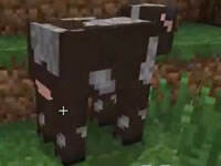 我的世界红小队六周目生存第六集