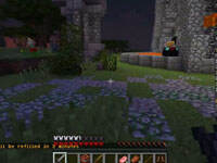 籽岷的1.8双人PVP游戏：饥饿游戏1