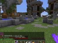 籽岷的1.8双人PVP游戏：饥饿游戏8