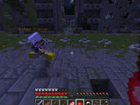 籽岷的1.8双人PVP游戏：饥饿游戏9