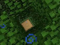 我的世界红小队六周目生存第十二集上篇