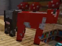 我的世界红小队六周目生存第十三集上篇