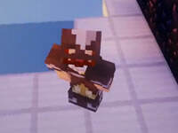 籽岷游戏：天天向上幸运方块大冒险10下