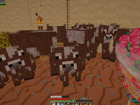 海绵宝宝海底生存2Ep8：作者将被我打死