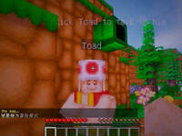 籽岷的1.10冒险小游戏 马里奥蘑菇头任务