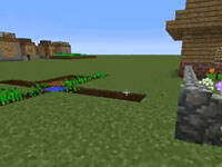 小明的教学百科第22期：如何种植甘蔗