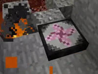 我的世界红小队六周目生存第十四集