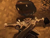 花_样期 被尘封的世界2