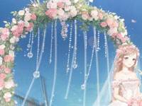 梦恋奇迹第三期