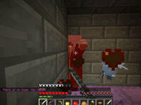 籽岷的1.11单人冒险 星际旅行下集